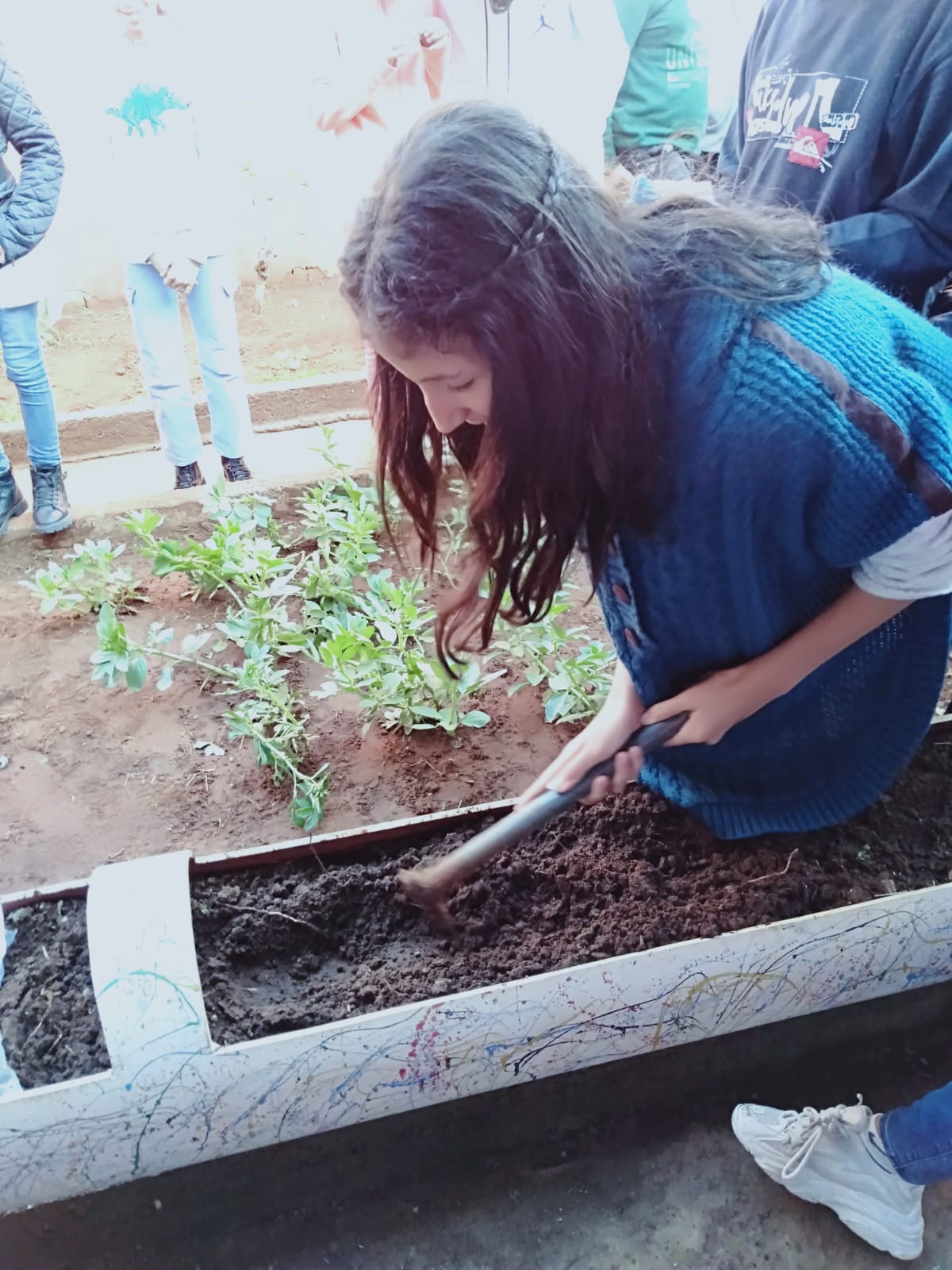 Élève plantant dans le potager pédagogique de l'école
