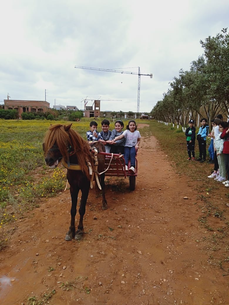 Élèves en balade à cheval et calèche lors d'une sortie pédagogique à la campagne